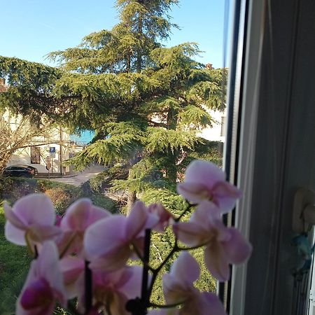 Apartment Luka Fažana Zewnętrze zdjęcie