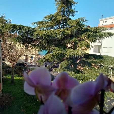 Apartment Luka Fažana Zewnętrze zdjęcie