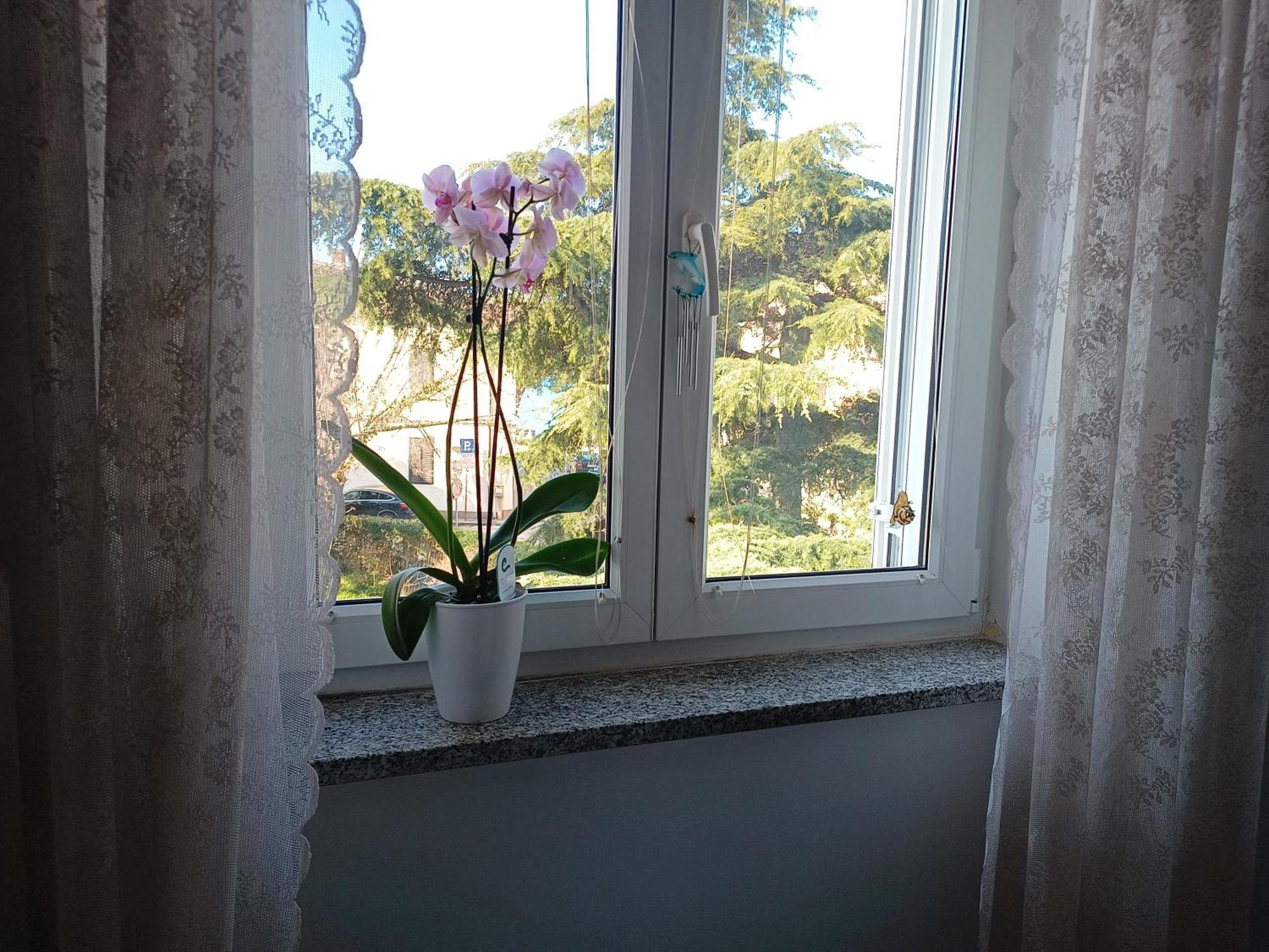 Apartment Luka Fažana Zewnętrze zdjęcie