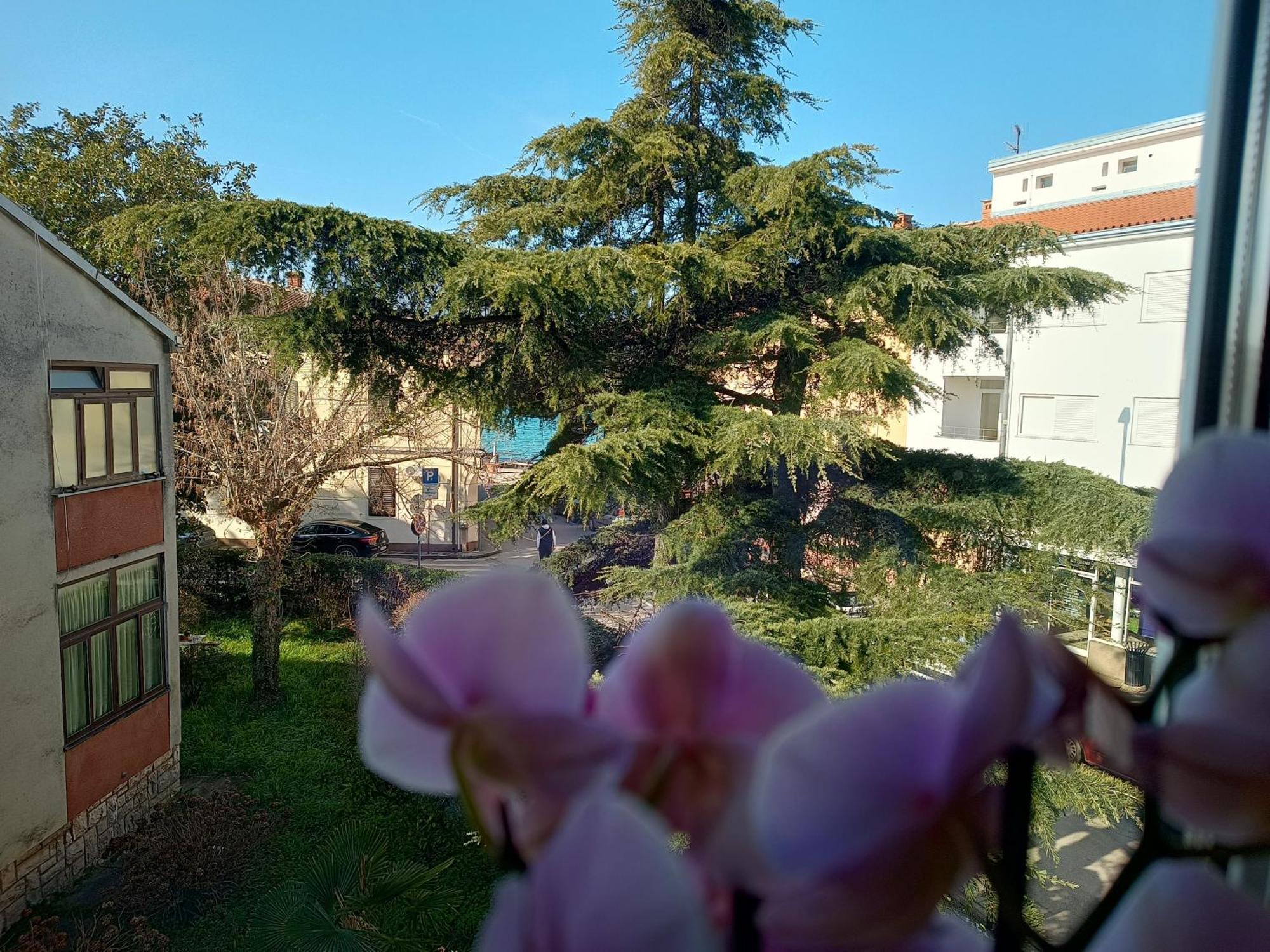 Apartment Luka Fažana Zewnętrze zdjęcie