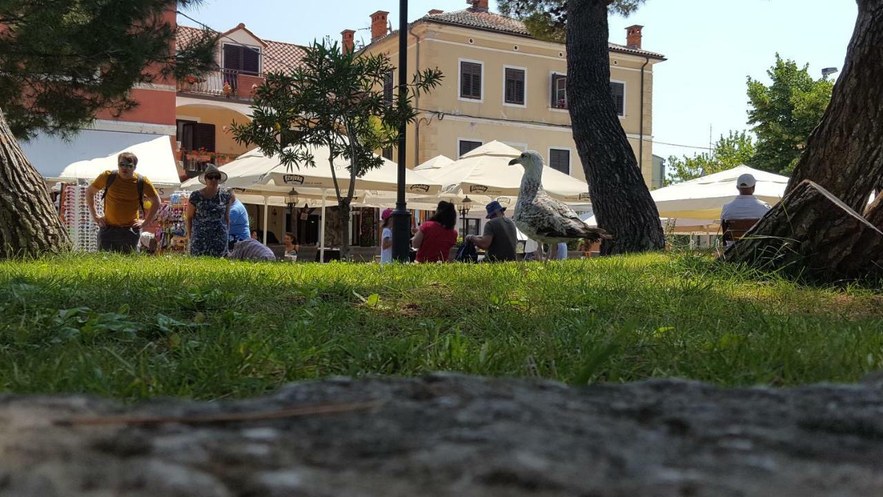 Apartment Luka Fažana Zewnętrze zdjęcie
